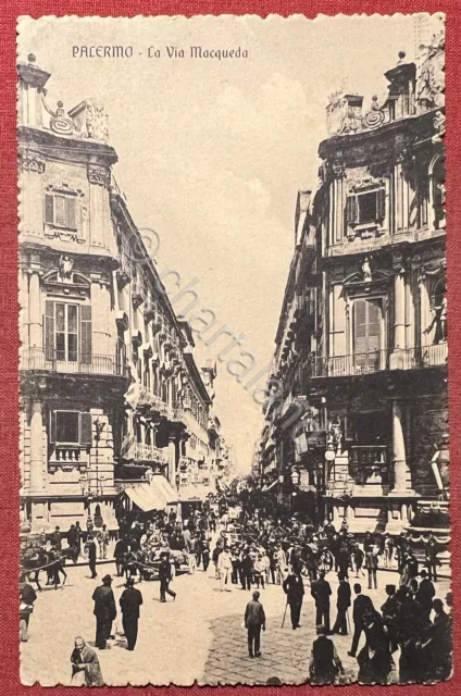 Cartolina - Palermo - La Via Maqueda - 1910 ca.