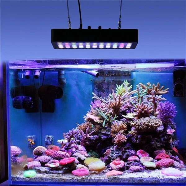 165W Full spectrum Led Aquarium light for Fish Tank&Coral Reef full spectrum UK