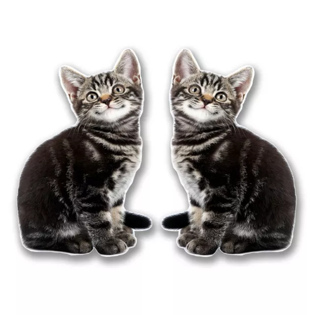 2 x 10cm Smiling Kitten Cat Vinyl Sticker Decal Laptop Tablet Gift Animal #6300