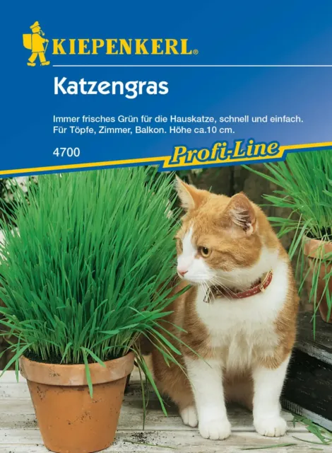 Katzengras Saatgut Minze Hauskatze Weidel - Lieschgras Vitamine Grünfutter Samen 2
