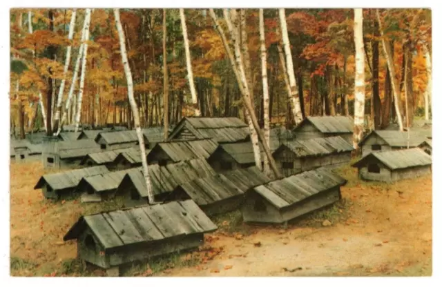 c1960 PC: Native American Cemetery on Chicaugon Lake – Crystal Falls, Michigan