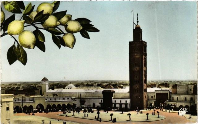CPM AK MAROC - CASABLANCA-La Grande Mosquée Mohammed V (329262)