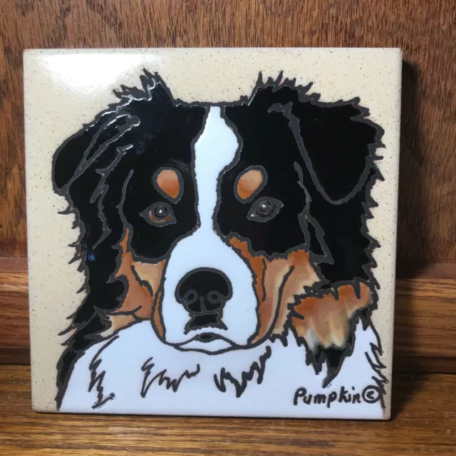 Australian Shepherd Dog - Hand Painted tile by Pumpkin Tile - 6 x 6" - D9KTRI