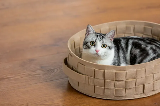 Cat bed dog bed pet bed storage weave basket - Round Beige 