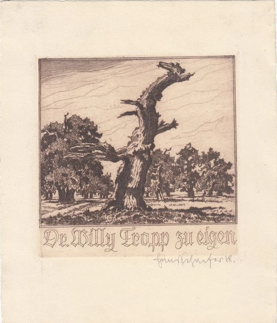 Exlibris Bookplate Etching Hans Schaefer 1900-1976 Schwanheimer Oak