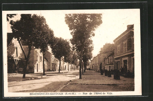 CPA Beaumont-En-Gatinais, Rue de I'Hotel de Ville