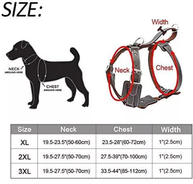 Dog Harness Genuine Leather No Pit-bull Pull Large Breed with Handle A Quality 3