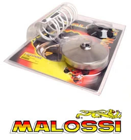 Variateur vario MALOSSI Multivar 2000 pour HONDA Forza 125 2015 NEUF