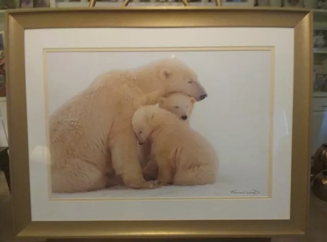 Kennan Ward Photograph Print White Polar Bear Mom & Cubs (Framed)