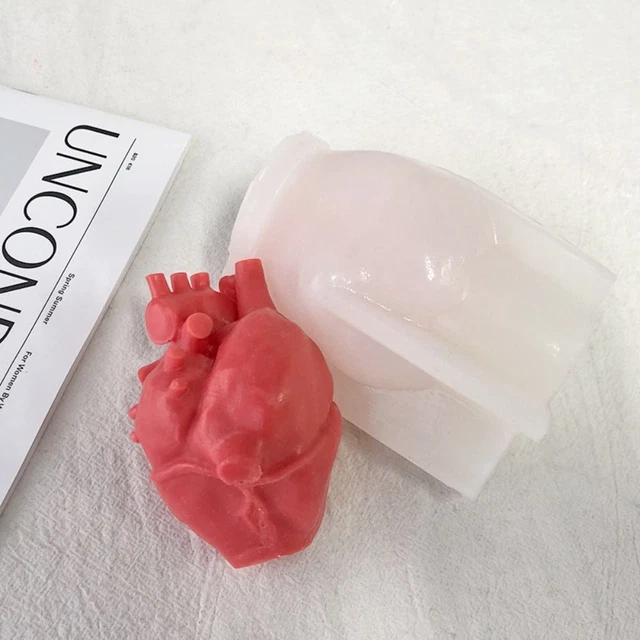 stampo produzione sapone forma silicone cuore umano organo candele muffa