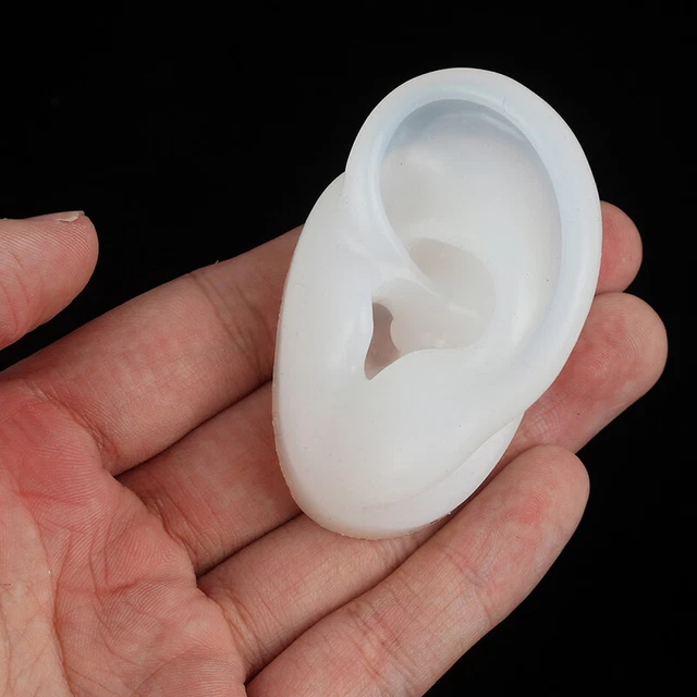 1 pieza Herramientas de perforación de práctica profesional modelo de oreja de silicona DiA'JQ