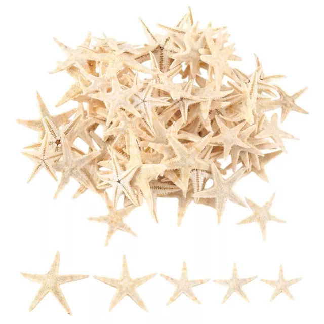 Small Starfish Star Sea  Beach Craft 0.4 inch-1.2 inch 90 Pcs U8T54324