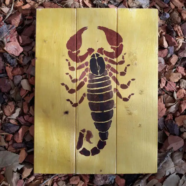 Scorpio Stencil Arizona Desert Scorpion Stencils for Painting on Wood, Canvas