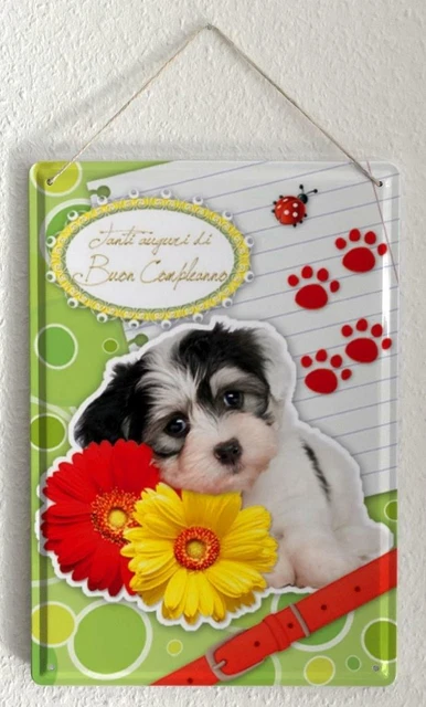 Kit di sopravvivenza in lattina San Valentino divertente regalo Kit di sopravvivenza in lattina San Valentino divertente regalo