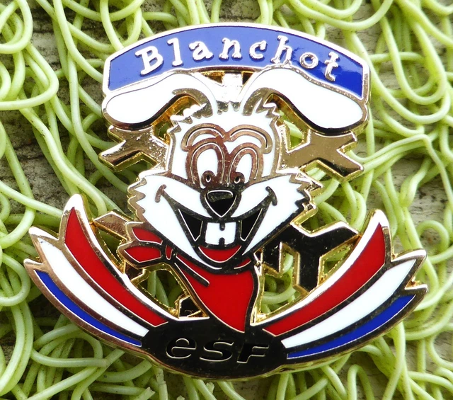 Lot De 7 Broches ESF École Du Ski Français : Flocon, étoile, Piou Piou, Ourson