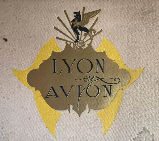 LYON EN AVION - livre ancien avec ses 21 planches de photos aérienne début XX 2