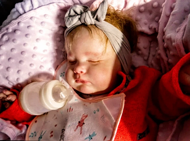 BÉBÉ REBORN TODDLER, kit JOSEPH avec certificat de nurserie EUR 250,00