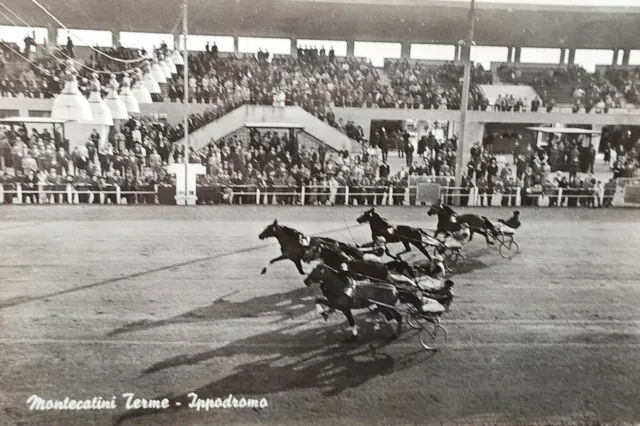 Cartolina - Montecatini Terme - Ippodromo - 1964