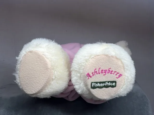 VINTAGE 1998 ASHLEYBERRY Fisher Price Animal Plushed  Stuffed Toys  Bear Doll 3