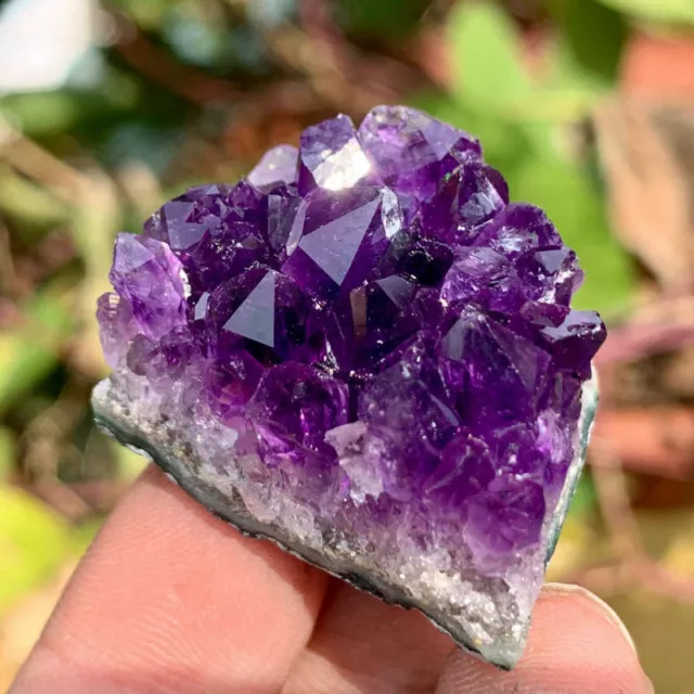 Natürlich Amethyst Cluster Quarz Bergristall Druzy Geode Edelstein Probe Heilung