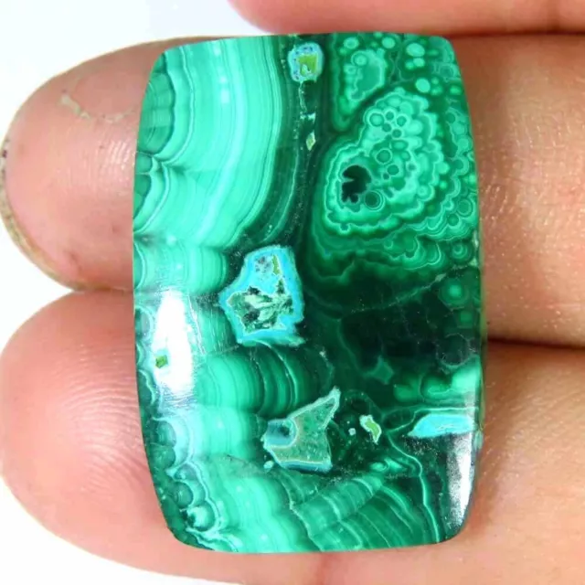 31.70Cts. 100%Natural Malachite Chrysocolla Cushion Cab 18x27x4mm Loose Gemstone