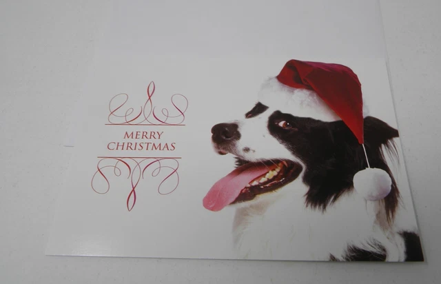15cnt Border Collie Christmas Cards