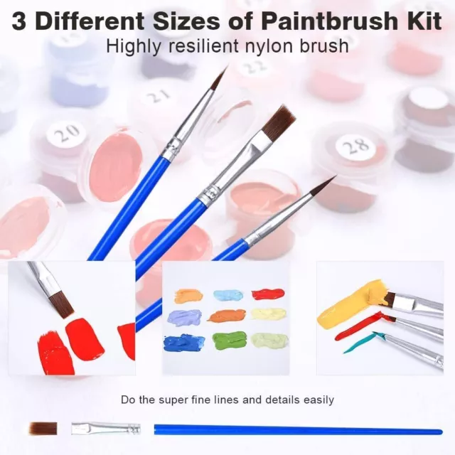 Large Paint By Numbers Kit Frameless Canvas DIY Oil Acrylic Painting 40 x 50cm 3