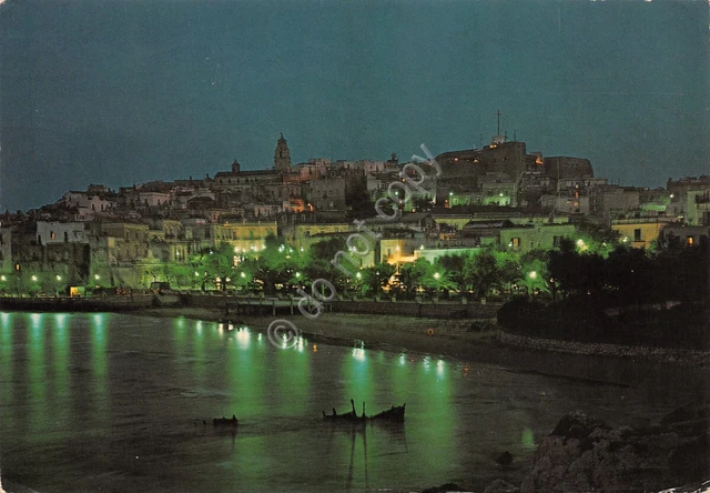 Cartolina Vieste Gargano panorama notturno dal mare1981