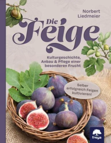Die Feige Kulturgeschichte, Anbau & Pflege einer besonderen Frucht 6247