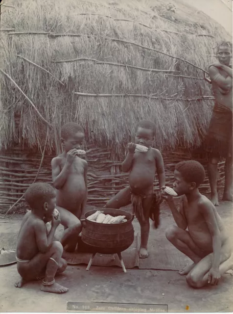 Afrique du Sud c. 1900 - Scène Enfants Marmite Maïs - AP 134