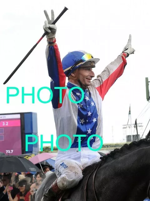 Americain 2010 Melbourne Cup Win Horse Racing Photo 2