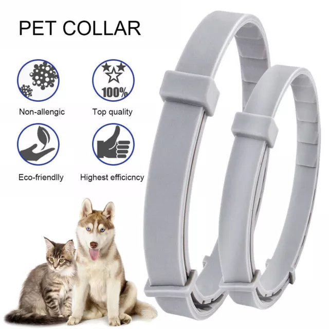 Anti Flea and Tick Neck Collar For Pet Dog Cat 8 Months Protection Adjustables 2