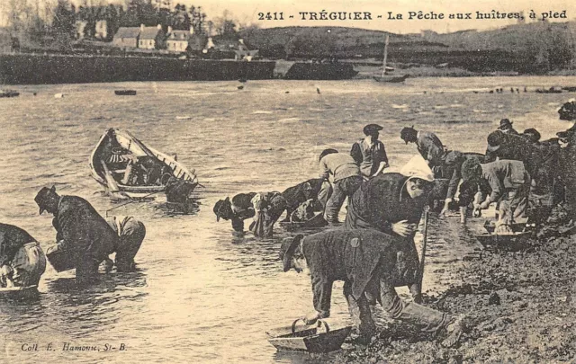 Tréguier - La Pêche aux huîtres à pied