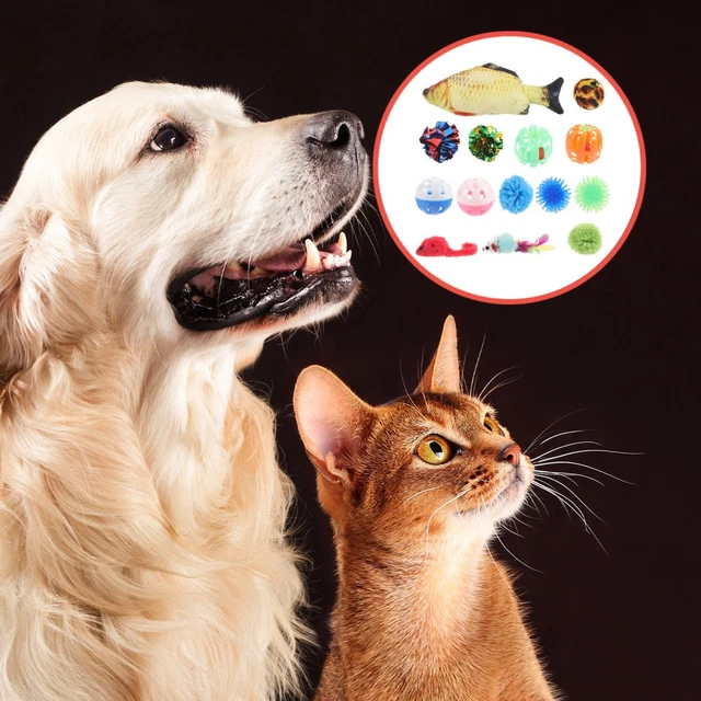 Cat Toys With Scent Stimulation Reference: Pet Plaything Teaser Toy Stimulating Cat Toys For Indoor Cats