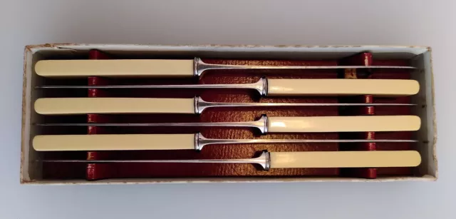 Vintage faux bone handled dinner knives x6 Boxed Sheffield Stainless steel