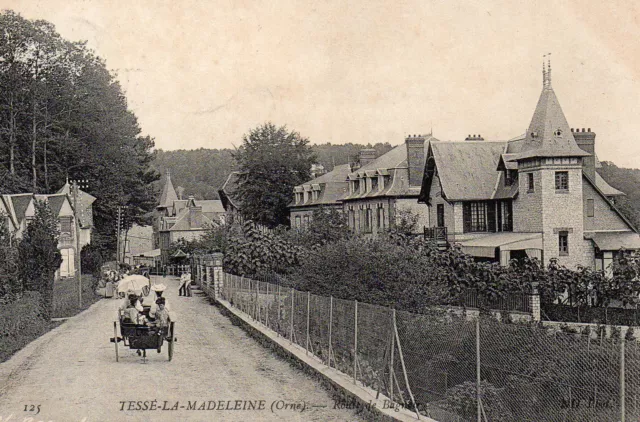 Carte Postale Ancienne Orne Tesse-La-Madeleine