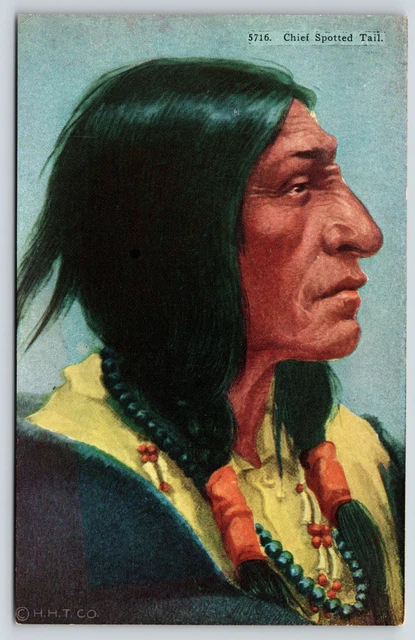 Native Americana~Chief Spotted Tail Portrait~Brulé Lakota Sioux Indian~c1910