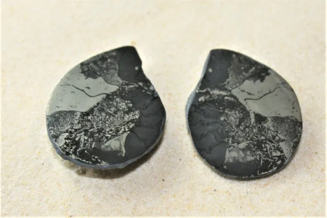 Ammonite Pyrite Pair Polished face approx 4.7cm x 3.4cm Code 17