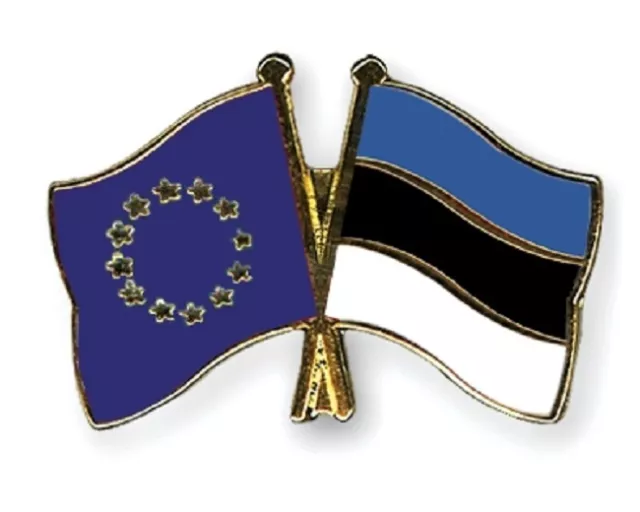 EU European Union & Estonia Flags Friendship Courtesy Enamel Lapel Pin Badge