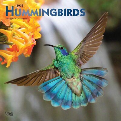 49087 2023 Calendario da Parete Colibri Colibri Nuovo 