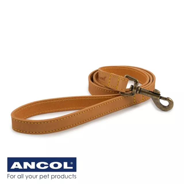 ANCOL REAL LEATHER DOG WALKING LEASH 60cm x 19mm Short Training Close Control UK