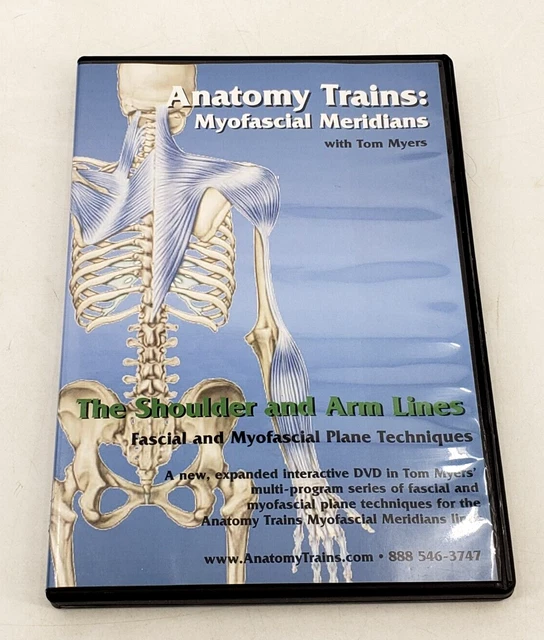 ANATOMY TRAINS MYOFASCIAL Meridians The Shoulder and Arm Lines By Tom