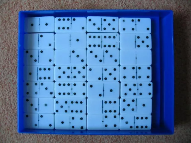 Jeux De 28 Dominos Dans Un Coffret