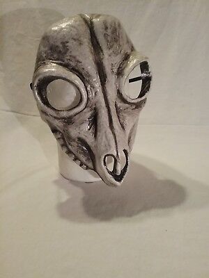 Deer skull mask, mardi gras, day of the dead mask. Halloween party mask.