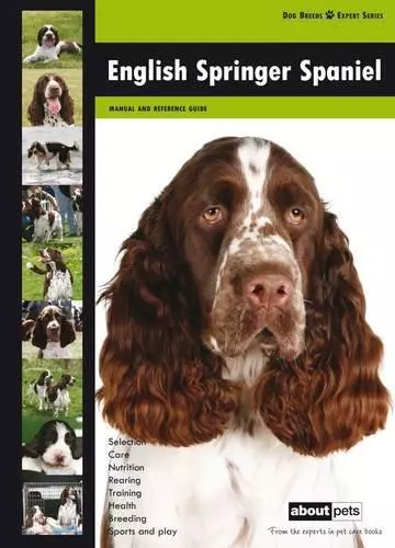 English Springer Spaniel: Dog Breed Expert Series