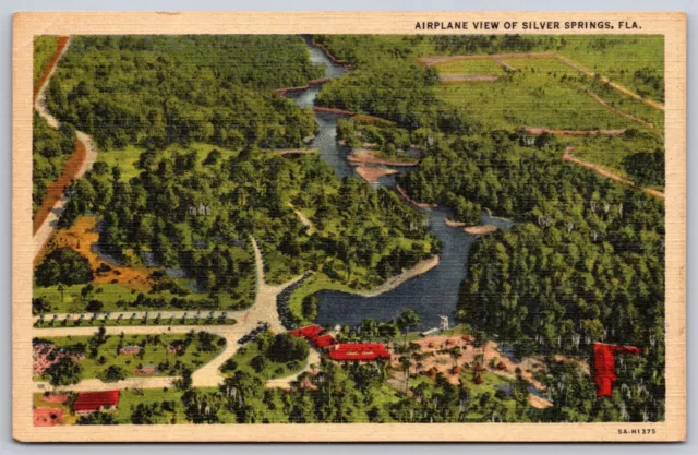 Silver Springs Florida Linen Postcard Airplane View Natures Underwater Fairyland