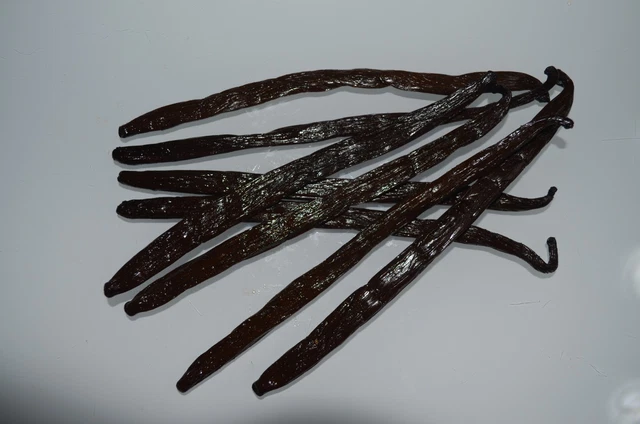 50grm Bourbon Vanilla Pods Madagascar Beans Grade A 15-17 CM 2020 PREMIUM