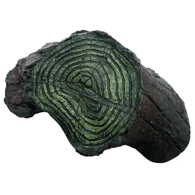 QeeHeng Piattaforma Per Tartarughe In Acrilico Trasparente - Ripiano Da Arrampicata Per Acquari, Dimensioni XL (25x27.8x6.5 Cm)