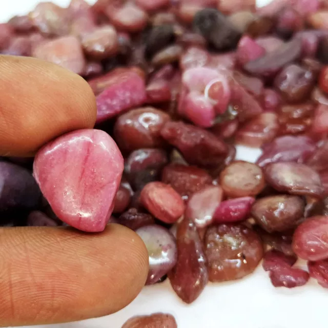 1530 Cts Natural Madagascar Red Ruby Uncut Certified Gemstone Rough Lot