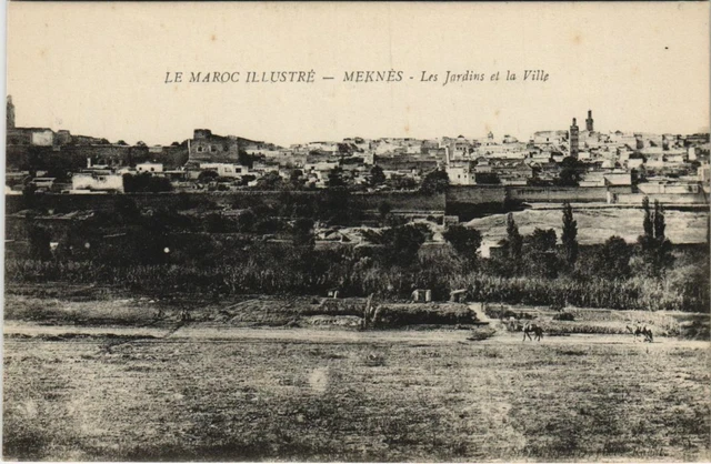 CPA AK MEKNES Les Jardins et la Ville MAROC (23942)